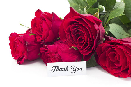 感谢卡与白色背景上的红玫瑰花束图片