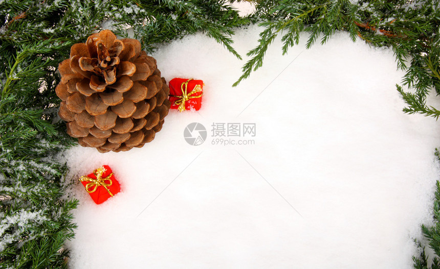 圣诞树的枝与松果和礼品盒图片