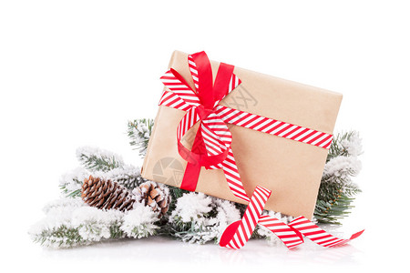 带雪和礼品盒的圣诞树枝白背景与图片