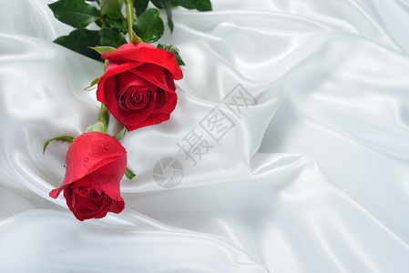白布上的红玫瑰花图片