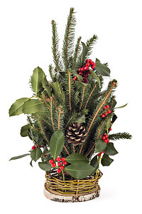 圣诞装饰品和冬季植物图片