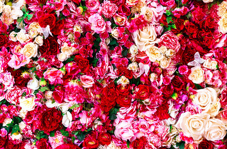 与红色和白色玫瑰的花卉背景图片