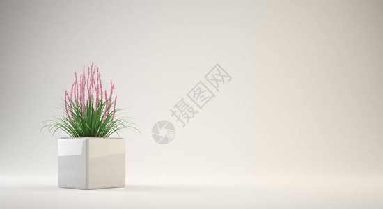 一株奶蓟草3d供室内或概念设计设计图片