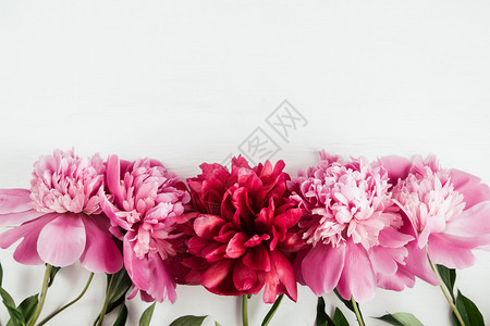 粉红和色花朵图片