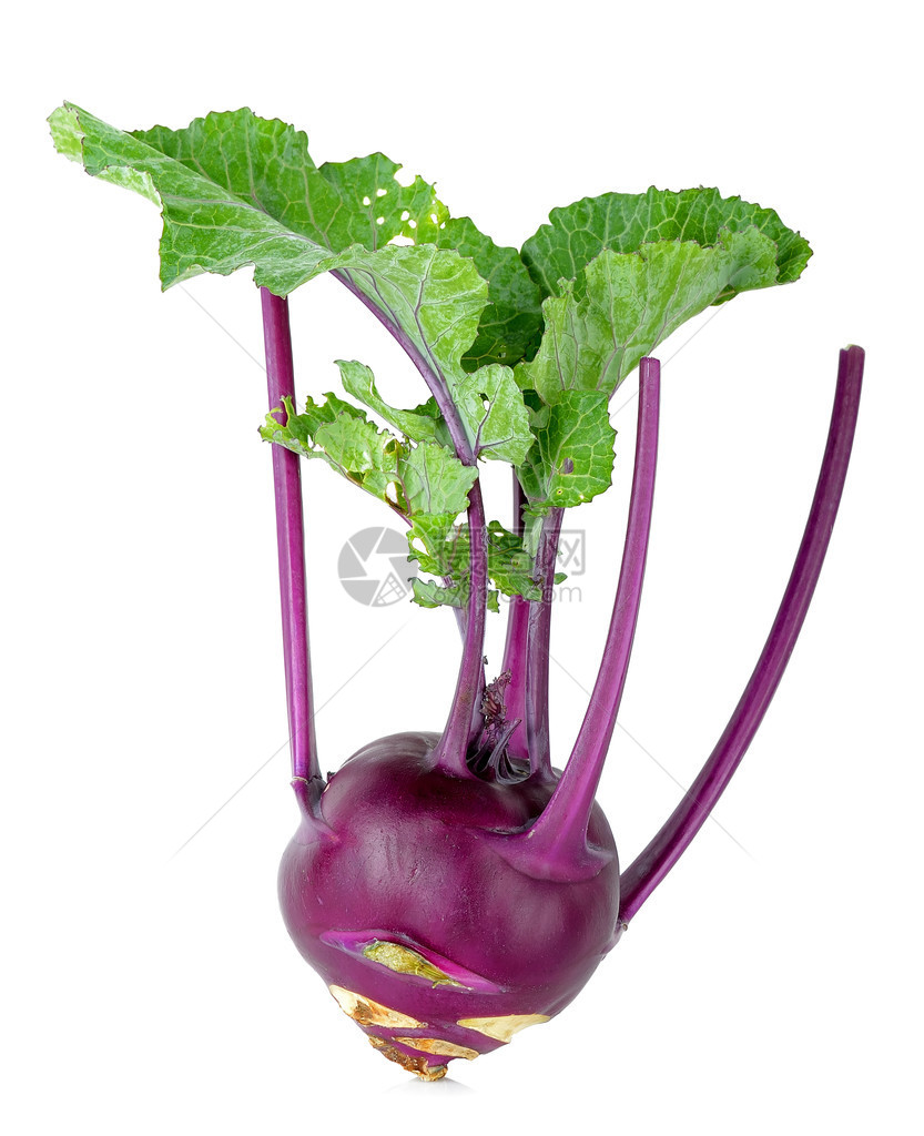 紫色的Kohlrabi在白色图片