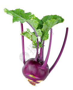 紫色的Kohlrabi在白色图片