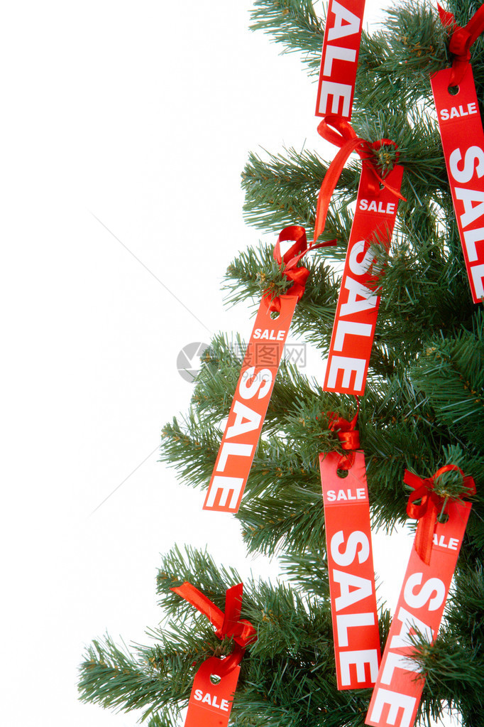 部分圣诞fir树装饰着图片