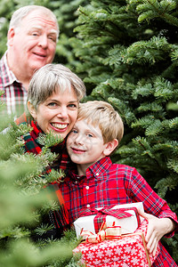 家庭为圣诞节选择一棵树图片