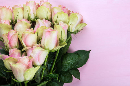粉红色背景上美丽的两束彩色玫瑰顶视图片