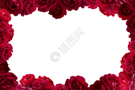 红玫瑰树丛花背景框架图片