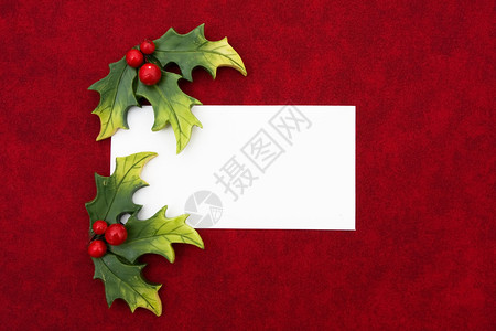 红色背景上带有冬青和浆果的空白礼品标签背景图片