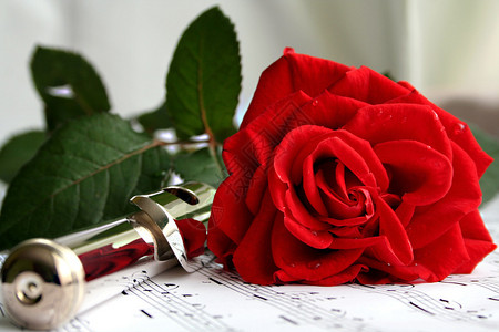 音乐隔板上的银笛和红玫瑰图片
