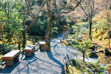 日本京都Tenryuji图片