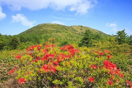 与日本长野Yuunomaru山合唱图片