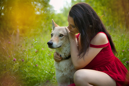 穿着红裙子的漂亮女孩和狗狼一起坐在图片