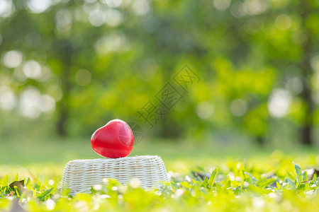 室外花园中绿色自然背景上的红色心形爱情人节健康保图片