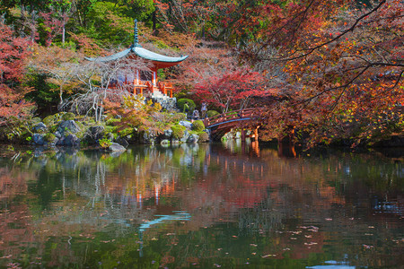 京都戴高吉寺庙世界遗产所在的秋季美图片
