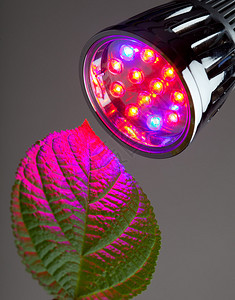 植物生长用LED灯图片