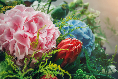 户外五颜六色的粉色和蓝色绣球花的图片