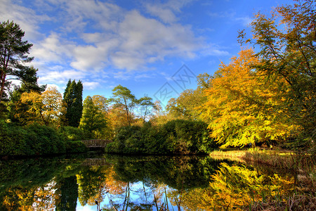秋季公园宁静的湖景图片