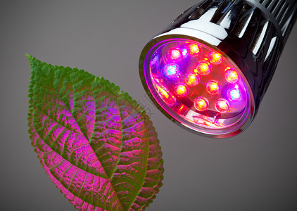LED植物生长灯图片