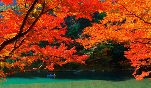 在日本京都亚林山的Katsura河附近图片