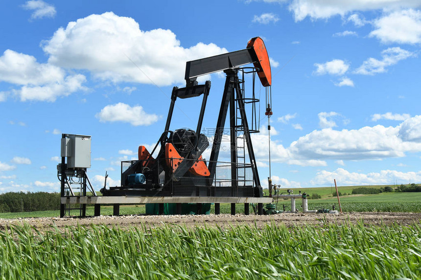 单个石油和天然气工业泵图片