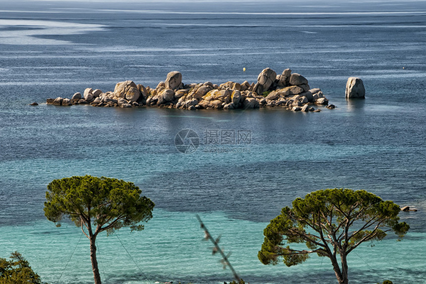 Corsica奇妙的海岸线绿图片