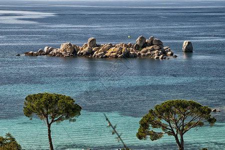 Corsica奇妙的海岸线绿图片