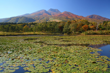 秋天MtMyoko山和莲湖池日本N图片