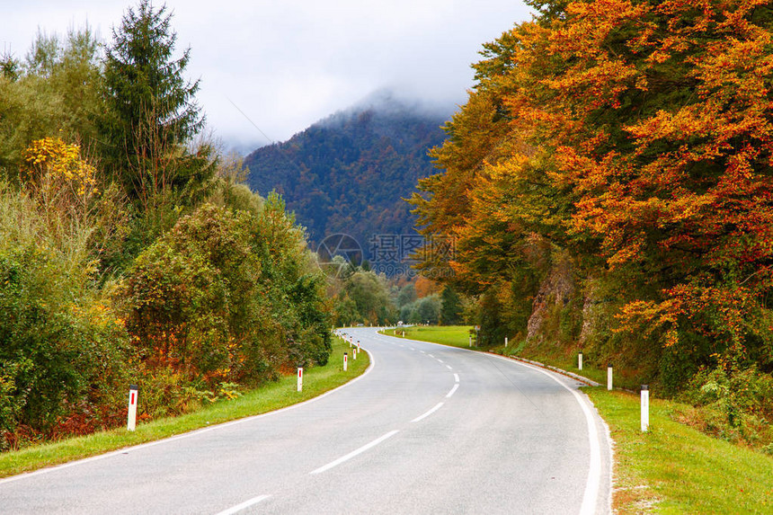 斯洛文尼色彩缤纷的秋季山中的道路图片