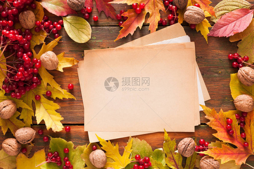 秋季罗文叶核桃和荚蒾框架工艺纸图片
