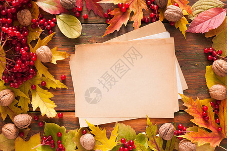 秋季罗文叶核桃和荚蒾框架工艺纸图片