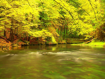 秋季质美丽的秋天森林与山区河流和五颜六色的树木与绿色红黄和橙色图片
