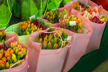 在袋子里卖五颜六色的荷兰郁金香荷兰背景图片