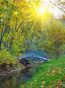 美丽的秋天风景与河流和一座桥图片