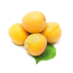 白色背景上的新鲜生物黄杏背景图片