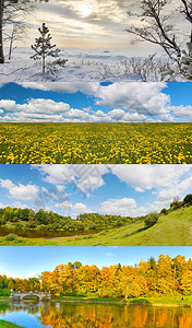 四个季节风景的集合图片