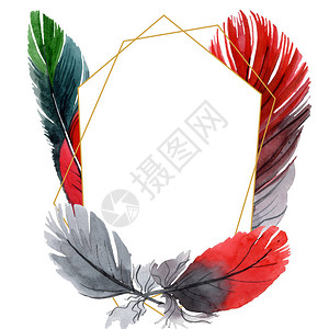 五颜六色的鸟羽毛从孤立的翅膀水彩背景插图集水彩画时尚水彩画孤立框架插画