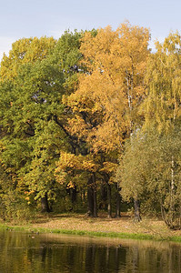 莫斯科公园秋天的颜色图片