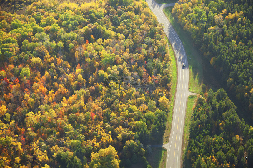 明尼苏达州颜色的森林中一条弯曲道图片