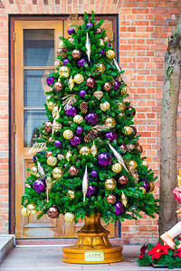 砖上的圣诞装饰户外圣诞树图片