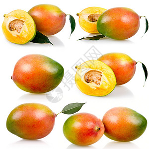 收集成熟的芒果水白背景图片
