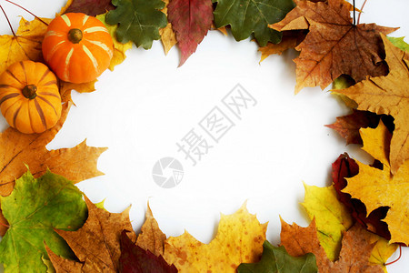 装饰秋天的南瓜和五颜六色的树叶图片