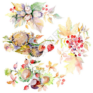 秋天的森林水果花束孤立的野生春叶水彩背景插图集水彩画时尚水彩画孤立的图片