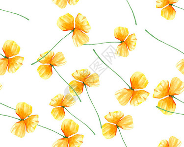 黄色金莲花图案水彩背景图片