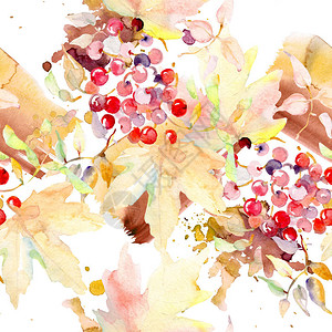 秋天森林果实的布束图片