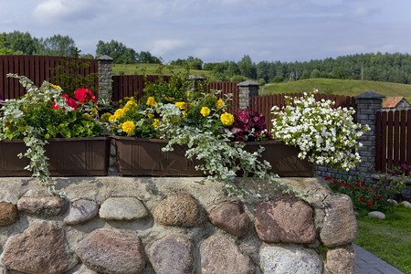 Floral夏季村庄景观石墙鲜花图片