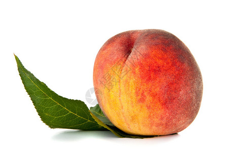 带叶子的桃子在白色背景上图片