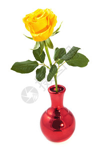 一朵黄玫瑰在金属红色花瓶中隔图片